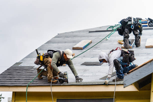 Professional Flat Roof Repair technician working in May, ID