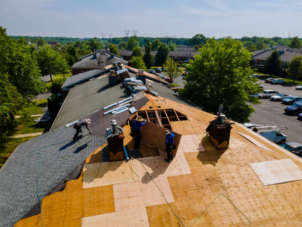 24/7 Emergency Flat Roof Repair experts in May, ID